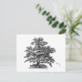 Vintager Baum Ephemera Postkarte (Stehend Vorderseite)