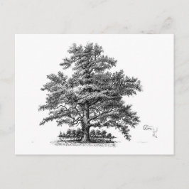 Vintager Baum Ephemera Postkarte