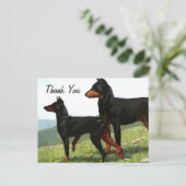 Vintager bemalter Doberman danke Ihnen auf Postkar Postkarte (Stehend Vorderseite)