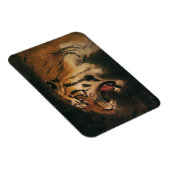 Vintager Bengalischer Tiger Big Cat Roaring, Wildt Magnet (Rechte Seite)