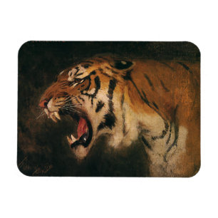 Vintager Bengalischer Tiger Big Cat Roaring, Wildt Magnet