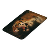 Vintager Bengalischer Tiger Big Cat Roaring, Wildt Magnet (Linke Seite)