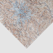 Vintager Berg Rainier Topografische Karte Seidenpapier (Ausschnitt)