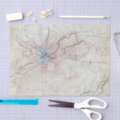 Vintager Berg Shasta Topografische Karte Seidenpapier (Handwerk)