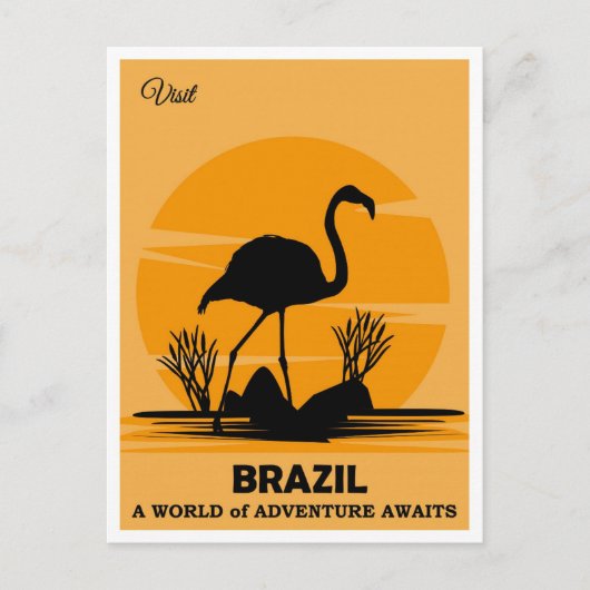 Vintager Besuch Brasilien Flamingo Reisen Postkarte (Vorderseite)