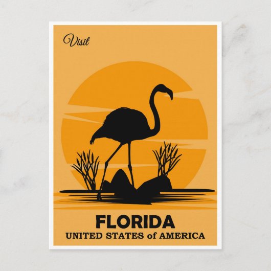Vintager Besuch Florida Flamingo Postkarte (Vorderseite)