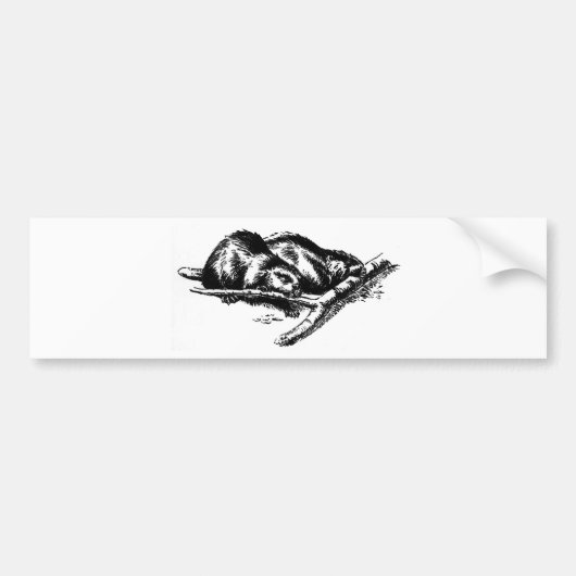 Vintager Biber Autoaufkleber (Vorne)