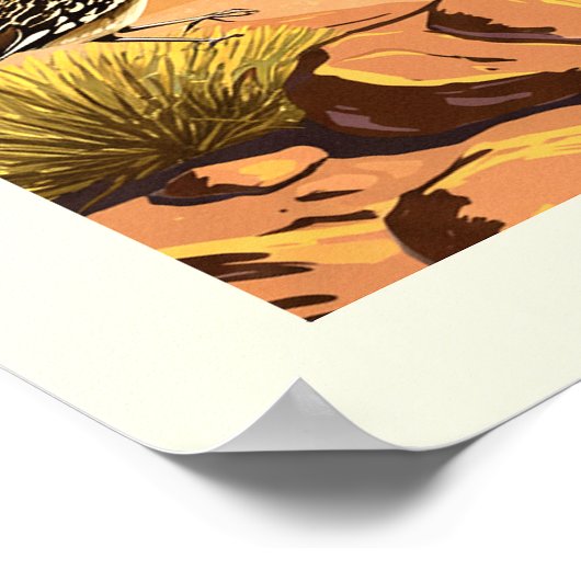 Vintager Big-Bend-Nationalpark Poster (Ecke)