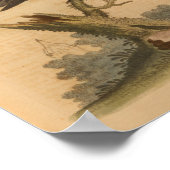 Vintager Bird Black Print Poster (Ecke)