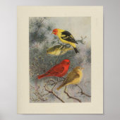 Vintager Bird Black Yellow Print Poster (Vorne)
