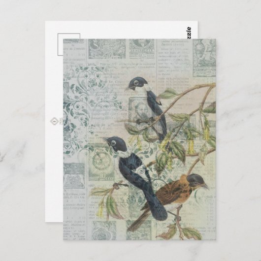 Vintager Bird Ephemera Decoupage Postcard Postkarte (Vorne/Hinten)