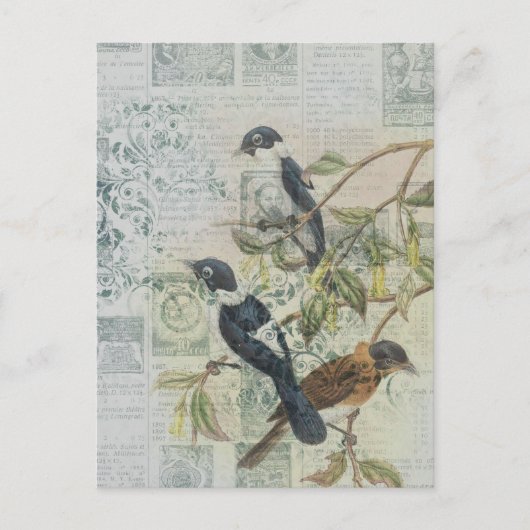 Vintager Bird Ephemera Decoupage Postcard Postkarte (Vorderseite)