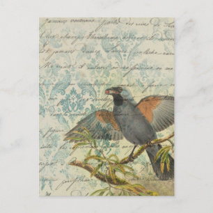 Vintager Bird Ephemera Decoupage Postcard Postkarte