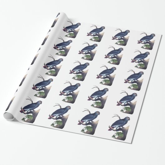 Vintager Bird Geschenkpapier (Ungerollt)