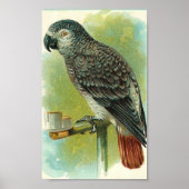 Vintager Bird Poster (Vorne)