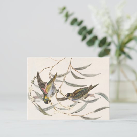 Vintager Bird Postkarte (Stehend Vorderseite)