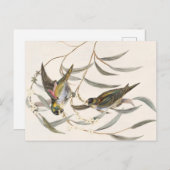 Vintager Bird Postkarte (Vorne/Hinten)