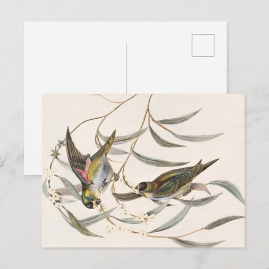 Vintager Bird Postkarte (Vorne/Hinten)