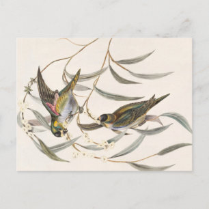 Vintager Bird Postkarte