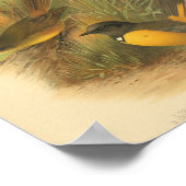 Vintager Bird Schwarz-weiß Gelb Poster (Ecke)