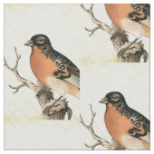 Vintager Bird Stoff (Nahaufnahme)