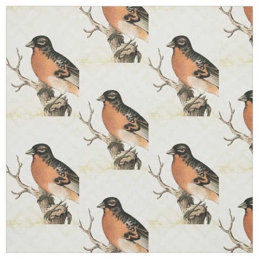Vintager Bird Stoff (Muster)
