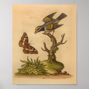 Vintager Bird Yellow Print Butterfly Poster