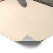 Vintager Black Kite Bird Poster (Ecke)