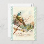 Vintager Blaue Vogel Postkarte (Vorne/Hinten)