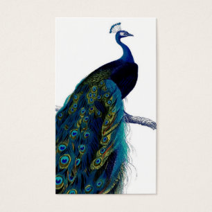 Vintager blauer eleganter bunter Pfau