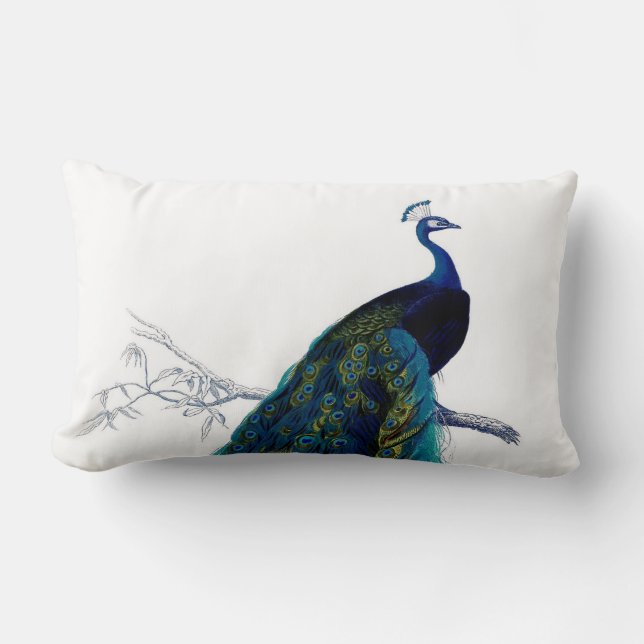 Vintager blauer eleganter bunter Pfau Lendenkissen (Vorderseite)