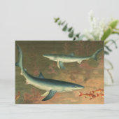 Vintager Blauer Hai isst Fisch, Meeresleben (Stehend Vorderseite)