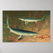 Vintager Blauer Hai isst Fisch, Meeresleben Poster (Vorne)