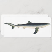 Vintager Blauer Hai, Leben im aquatischen Ozean (Vorne/Hinten)