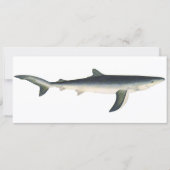 Vintager Blauer Hai, Leben im aquatischen Ozean (Vorderseite)