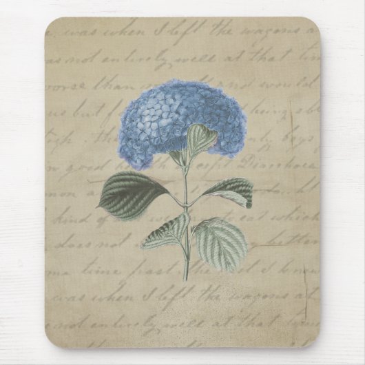 Vintager blauer Hydrangea-antike mit Mousepad (Vorne)