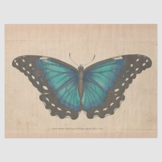Vintager Blauer Schmetterling Ephemera Decoupage A Seidenpapier (Vorderseite)