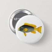 Vintager Blauer und Gelber Grouper Fisch, Meeresle Button (Vorne & Hinten)