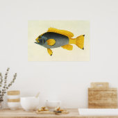 Vintager Blauer und Gelber Grouper Fisch, Meeresle Poster (Küche)