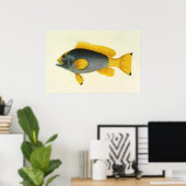Vintager Blauer und Gelber Grouper Fisch, Meeresle Poster (Heimbüro)