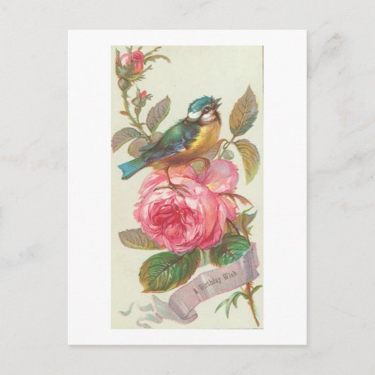 Vintager Blauer Vogel und rosa Blume Geburtstag Postkarte (Vorderseite)
