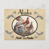Vintager Blick Alte Postkarte Alaska Staat (Vorderseite)