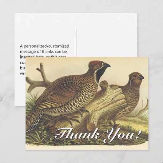 Vintager Blick, zwei Vögel "Danke!" Postkarte (Vorne/Hinten)