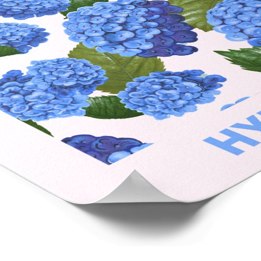 Vintager Blue Hydrangea-Blume-Markt Poster (Ecke)