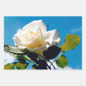 Vintager Blue Sky Geschenkpapier Set (Vorderseite)