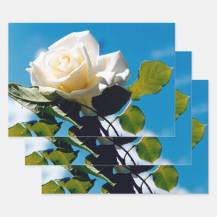 Vintager Blue Sky Geschenkpapier Set