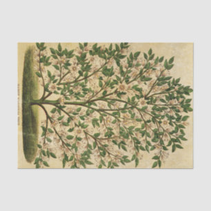 Vintager Blumenbaum Seidenpapier