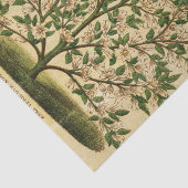 Vintager Blumenbaum Seidenpapier (Ausschnitt)