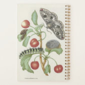 Vintager Blumenplaner mit Moth und Raupe Planer (Rückseite)