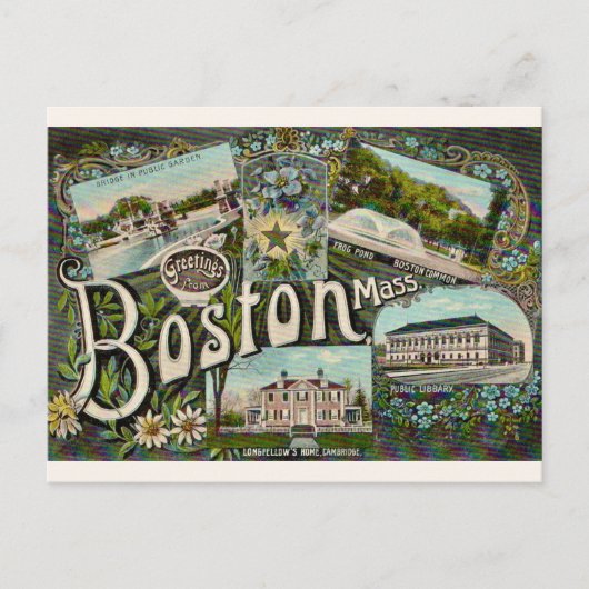 Vintager Boston Frosch Pond Postkarte (Vorderseite)